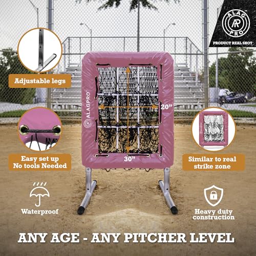 ALAGPRO? The Original 9 Hole Pitching Net with Strike Zone Pocket | Pitching Target for Baseball & Softball Pitchers