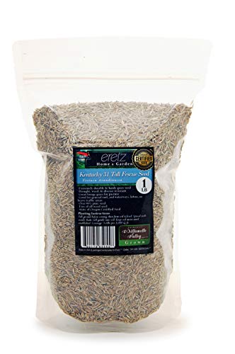 Kentucky 31 K31 Tall Fescue Grass Seed by Eretz – Choose Size! State Certified, No fillers, No Weed or Other Crop Seeds (3lbs)